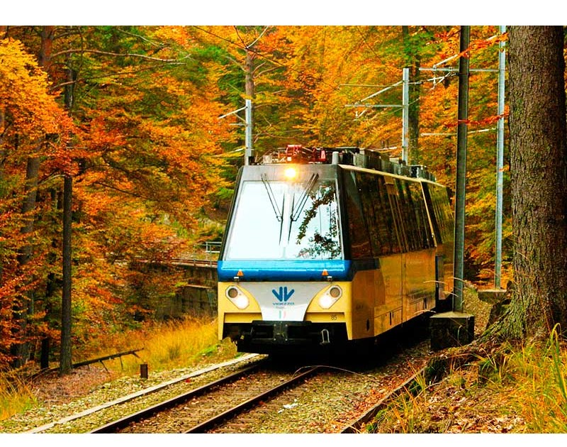 Il treno del foliage un indimenticabile viaggio nei colori e sapori