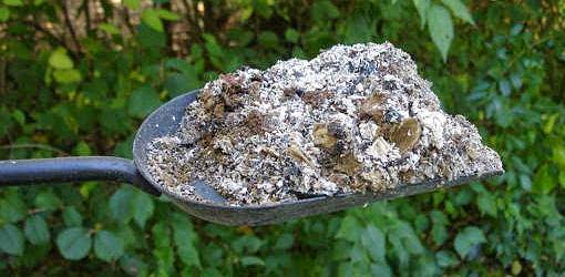 Entre plantas y macetas: Uso de cenizas de madera en el jardín