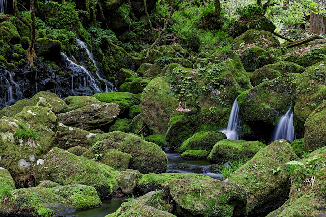 #photo #landscape #sigma #foveon #sdquattroh #japan #akita #nikaho #写真 #風景写真 #秋田県 #にかほ市