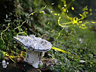 30 second exposure of fireflies (public domain photo)
