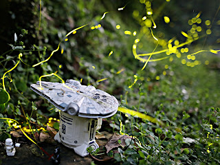 30 second exposure of fireflies (public domain photo) 30 second exposure of fireflies (public domain photo)