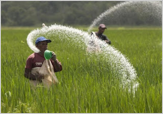 jual pengering kopi, jual pengering kelapa, jual pengering jagung jual pengering kopi, jual pengering kelapa, jual pengering jagung