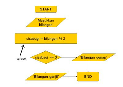 Konstanta dan Variabel Algoritma