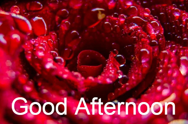 Good Afternoon HD Image Good Afternoon HD Image