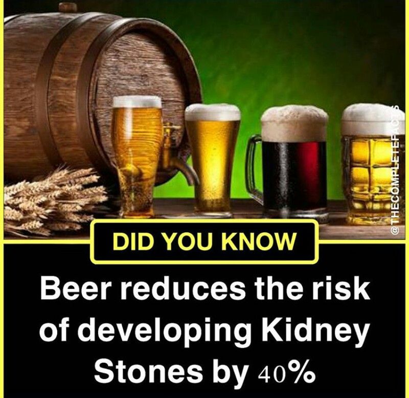 WonFun 40 Beer Fun Facts You Need To Know