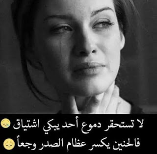 bfe75dc4f23ce0fab3b9590b6863711c
