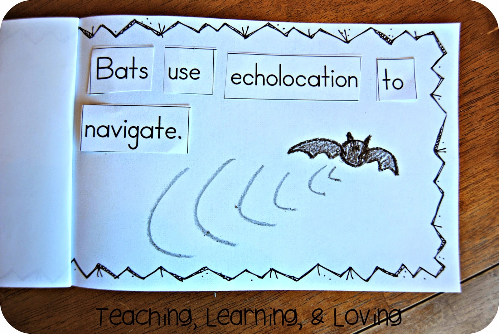 Teaching, Learning, & Loving All About Bats!