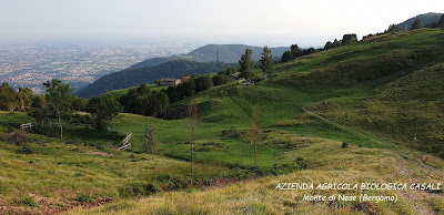 azienda agricola casali