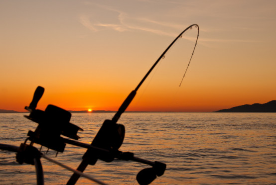 99 Arti Mimpi Mancing Dapat Burung Menurut Primbon Islam Hindu Dan Kristen Kode Mimpi Mancing