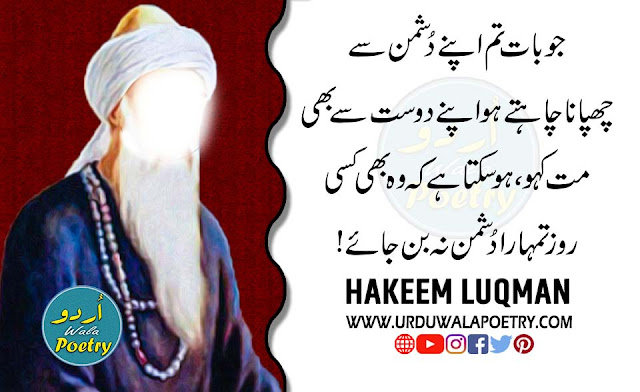 Hakeem-Luqman-Tips-in-Urdu