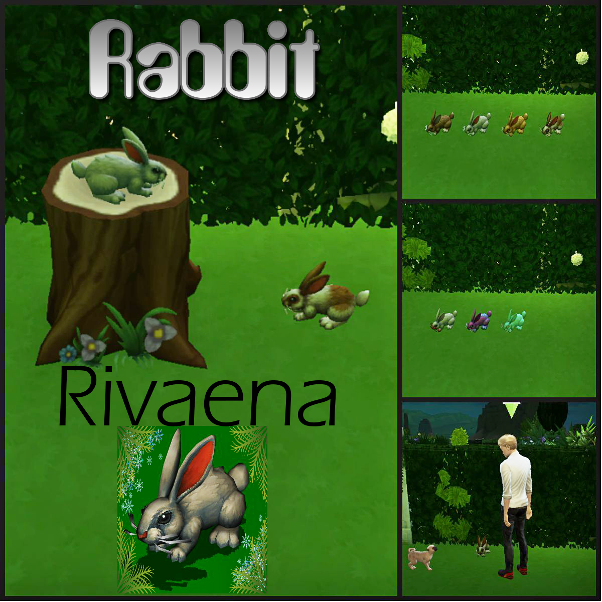 My little workshop! for sims4: Rabbit