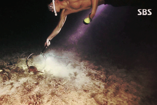 힛더스테이지 기대되는 멤버 - 몬스타엑스 셔누(데이터주의) | 인스티즈