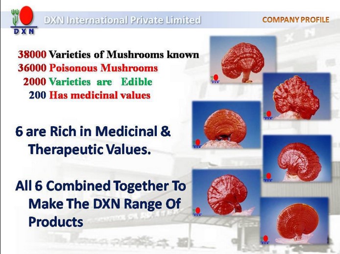 DXN Ganoderma