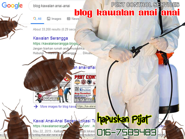 Bilik Jadi Sarang Kutu Tilam Jangan Risau Ikuti 4 Cara Mudah