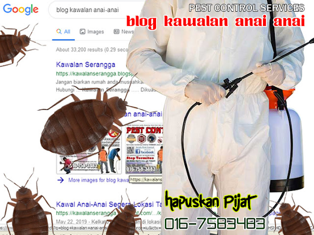 Cara Hapuskan Pijat Yang Menyerang Tilam & Bantal