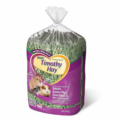 Timothy Hay for Small Animals What can Guinea Pigs eat?
