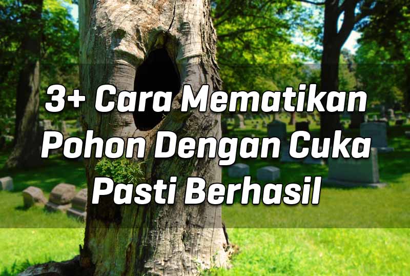 3+ Cara Mematikan Pohon Dengan Cuka Pasti Berhasil 