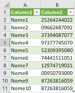 Planilha excel com os dados importados corretamente.