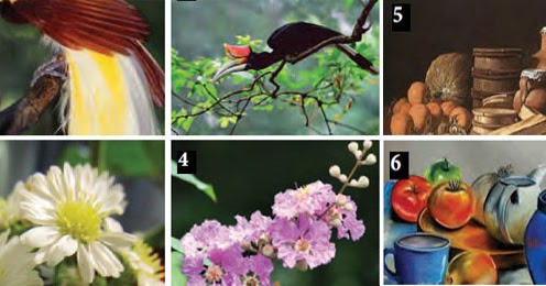 Materi Seni Budaya Kelas 7 Semester 1 Bab 1 Menggambar Flora Fauna Dan Alam Gambar Akubelajar Online