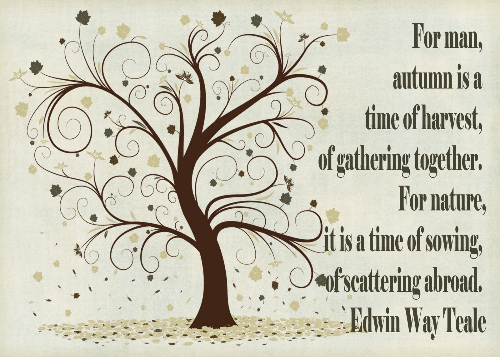 25 Mind Blowing Nature Quotes Amazings