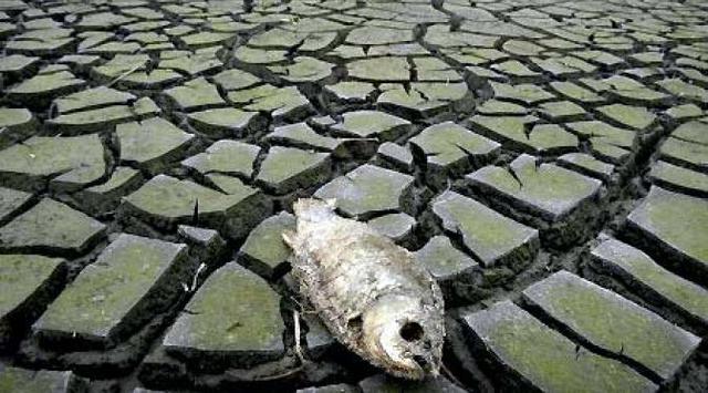 Sains Bersiaga, Hadist Sudah Terangkan Perihal Kemarau 2019-2022 Sebagai Tanda Kiamat! Benarkah?