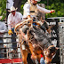 NORFOLK RAM RODEO CELEBRATES 5 YEARS ON JULY 18-19,2020