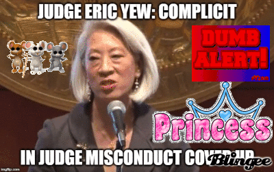judge commission erica yew judicial performance california cjp director henley victoria meme court justice superior ryan premo chronicle report deborah