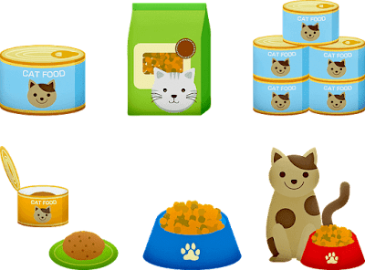 Help a Cat Lose Weight By This Diet Food Cat