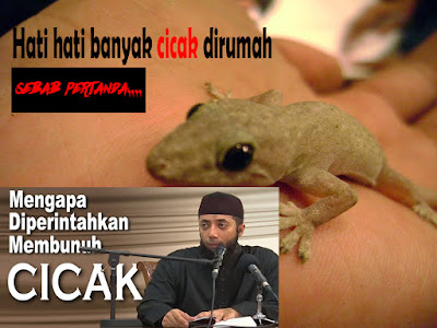 cicak dalam islam dan kenapa diperintahkan membunuhnya - UntukSemua101