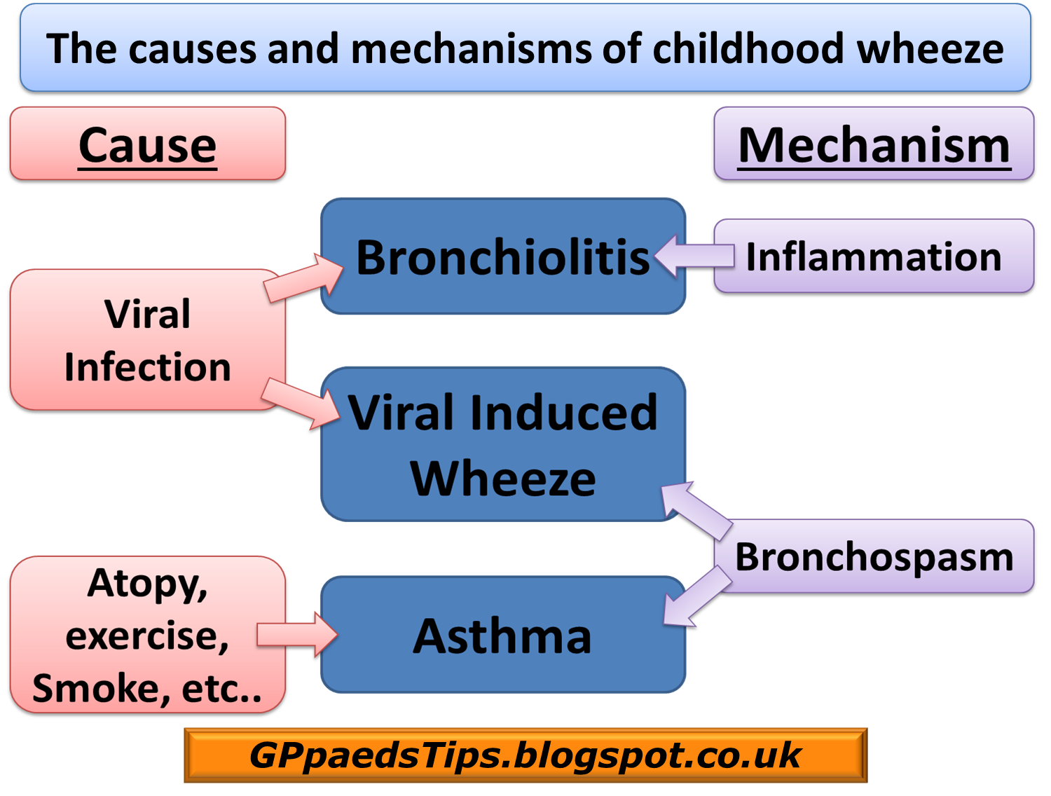 Paediatrics for Primary Care (and anyone else) Why bronchiolitis doesn