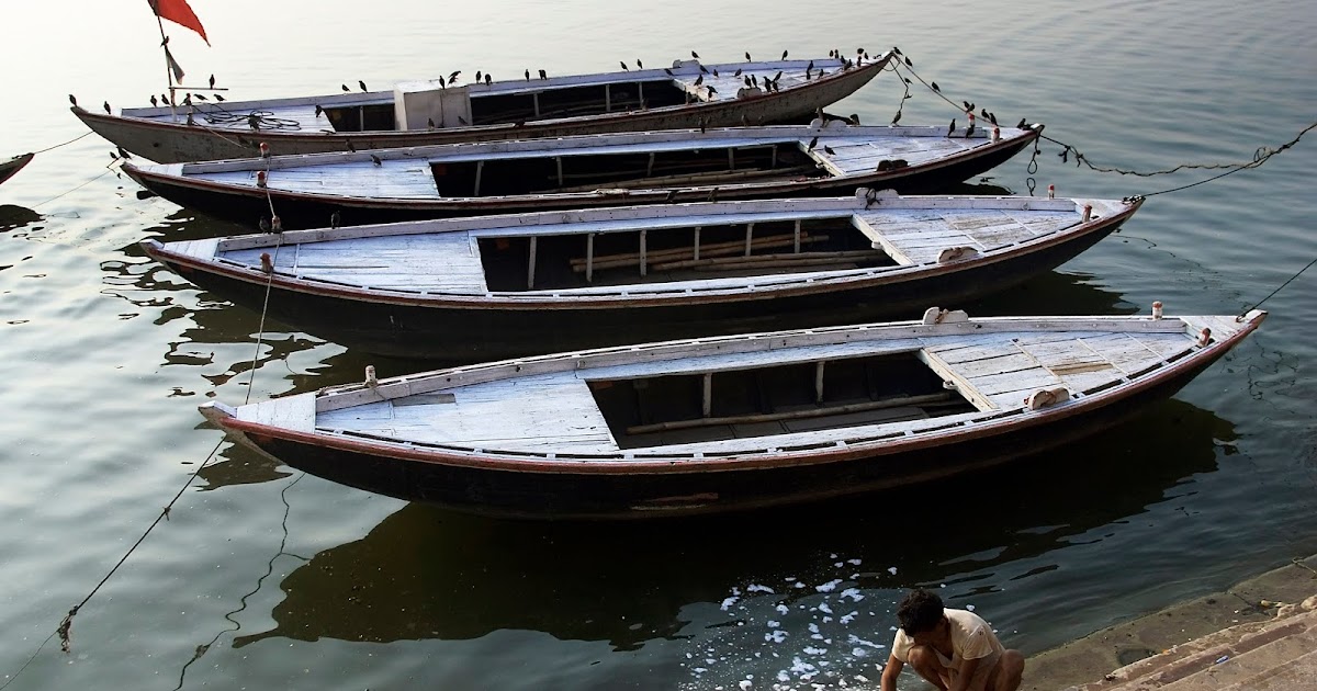 Indian Biodiversity Talks The national waterway project may put the turtles of Varanasi Ghats