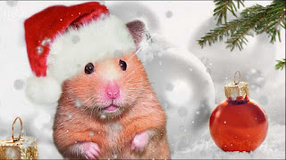 Herzlichen Glückwunsch Zum neuen Jahr Maus und Ratte 2024. Kostenlose, schöne Live-Weihnachtskarten im Jahr der Maus
