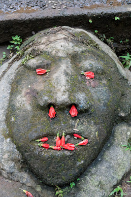 Red Coral - cascade de Munduk - Bali