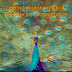 Be A Meditator- Spread your wings and feel the joy of meditation