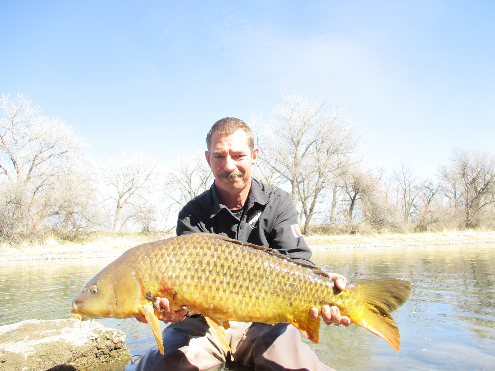Arkansas River Tailwater Fly Fishing Report