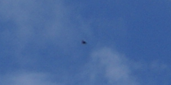 DSC00516.JPG Object C