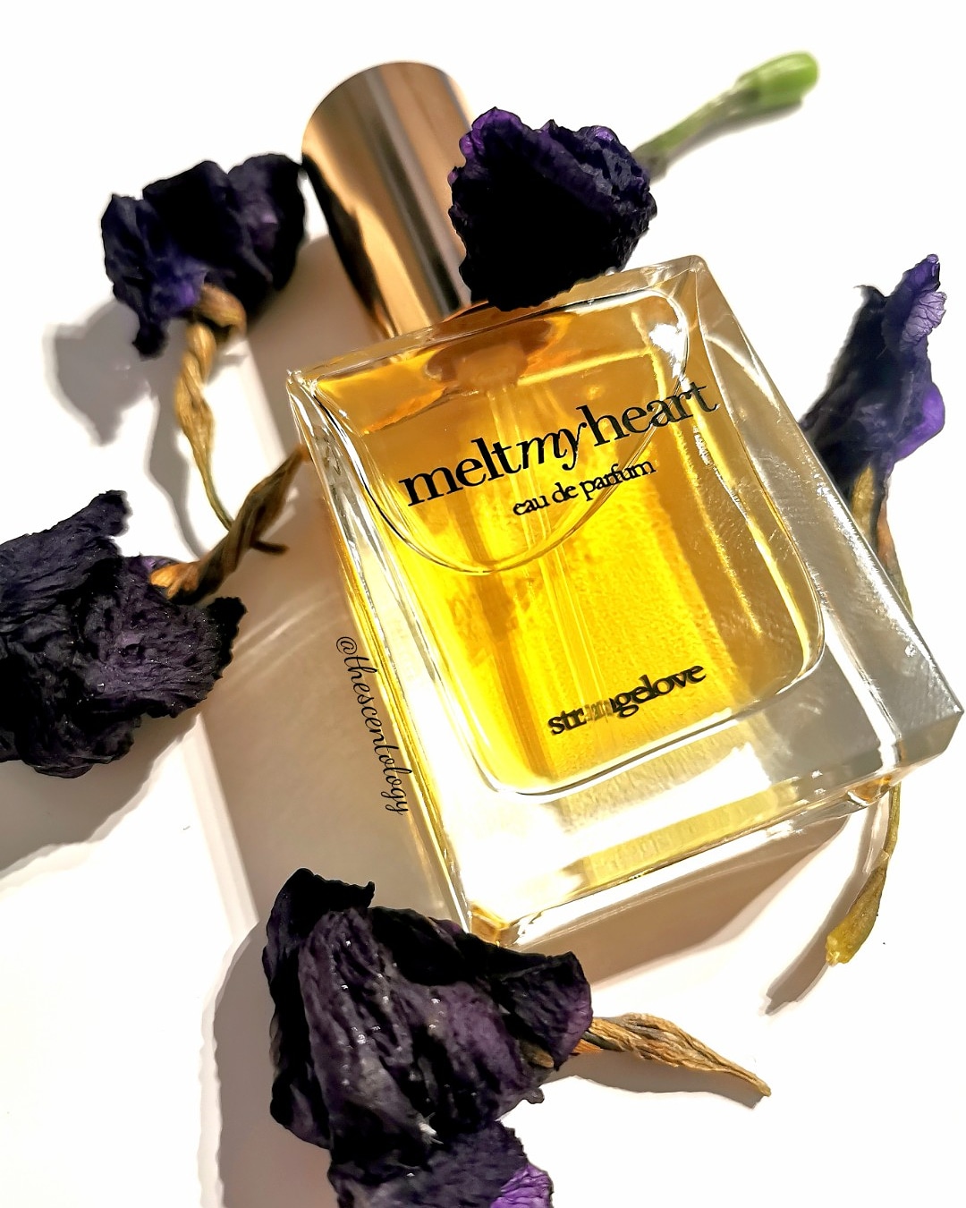 Melt my Heart by Strangelove NY