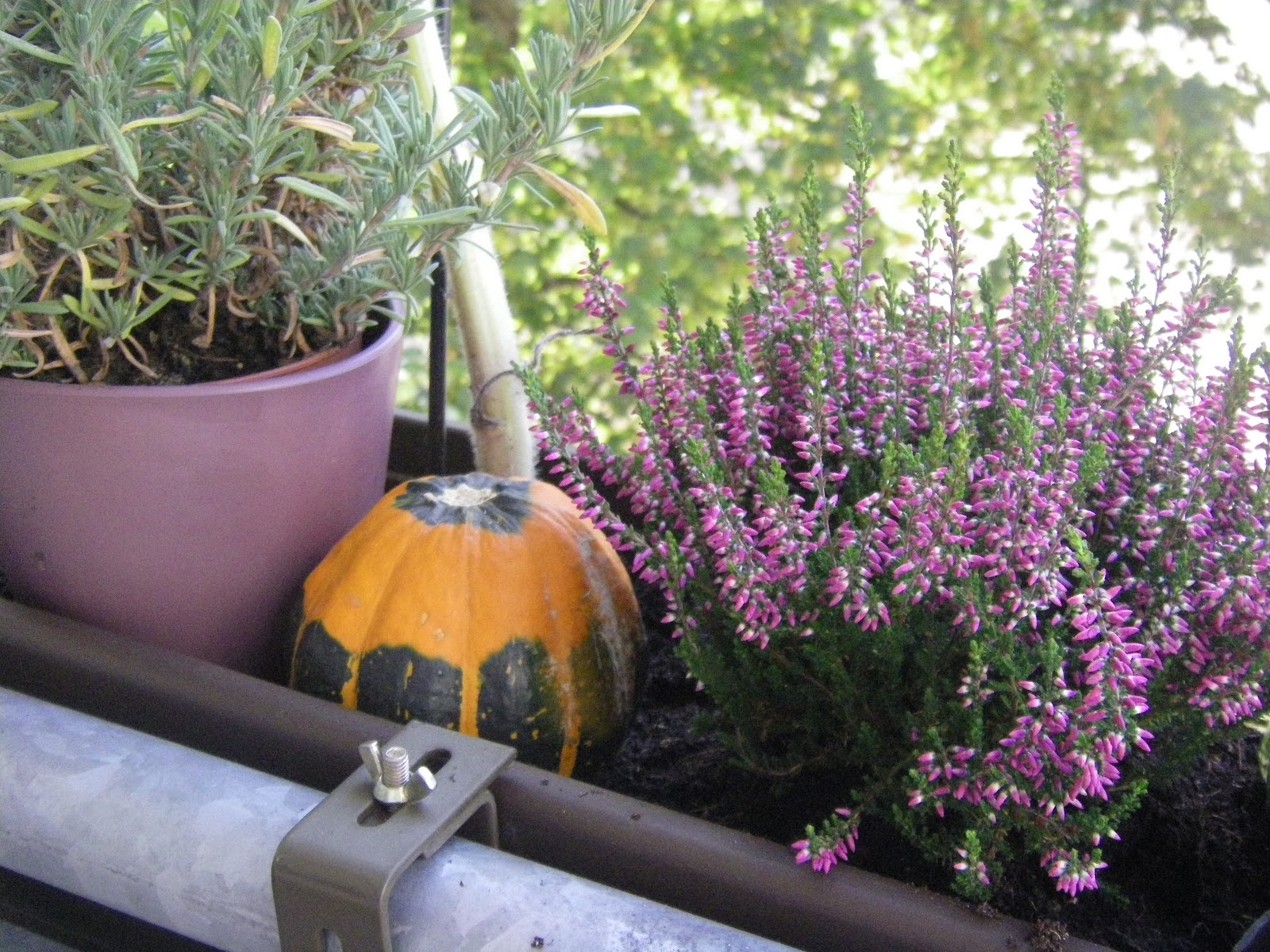 1001 Idee Herbst auf dem Balkon