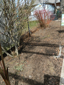 Etobicoke spring garden clean up after by Paul Jung Gardening Services Toronto
