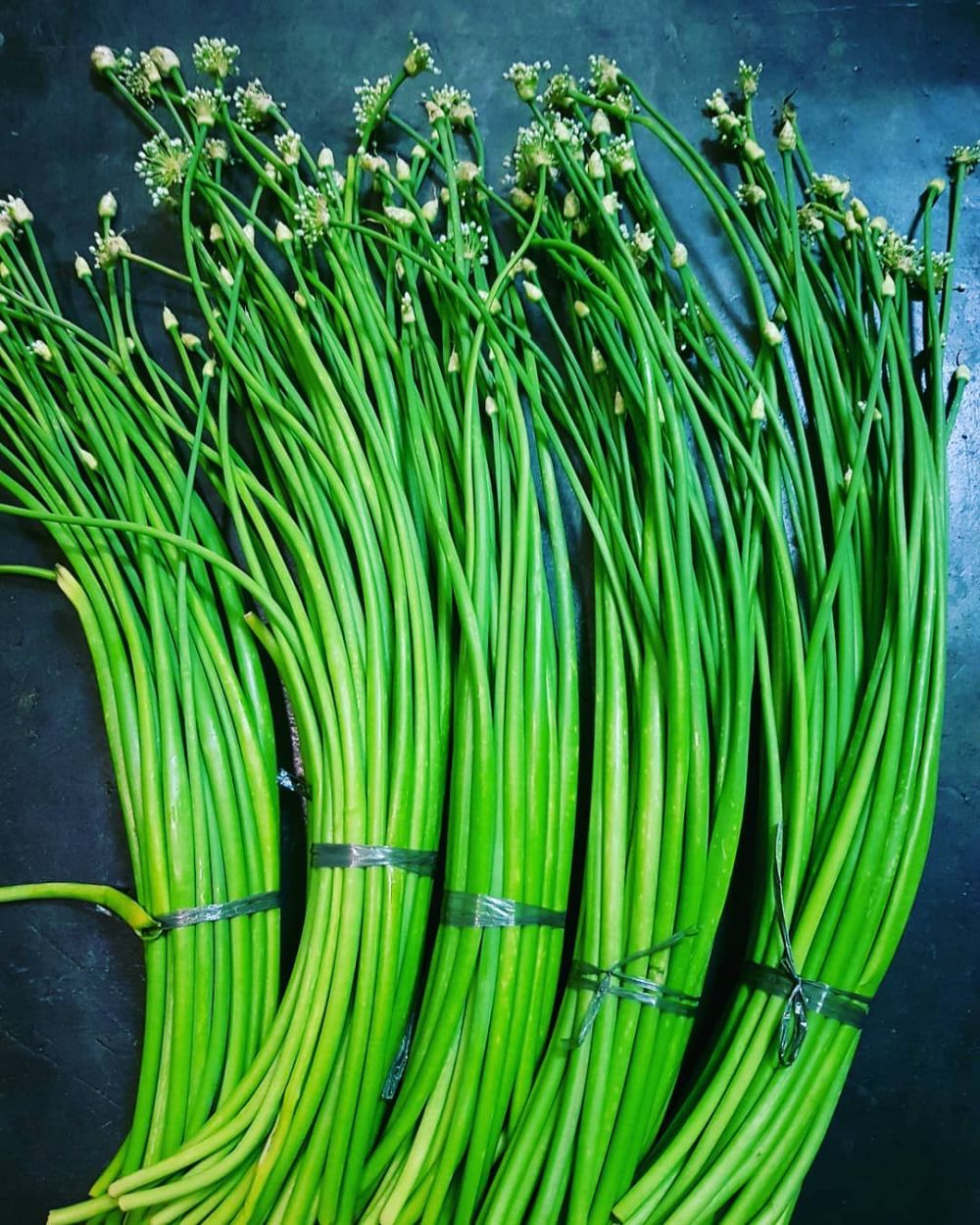 Tumis Bunga Bawang Kembang Bawang Merah