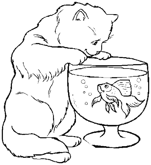 Beautiful Cat With Fish Coloring Page for Kids of a Cute Cartoon Colour Drawing HD Wallpaper
