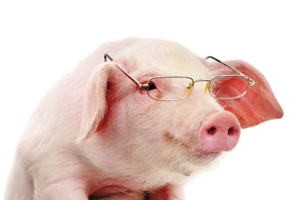 Babi - JapaneseClass.jp