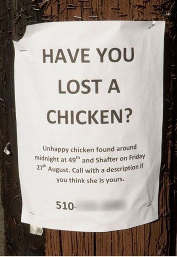Funny Lost and Found Signs (30 Pics) Funny Signs