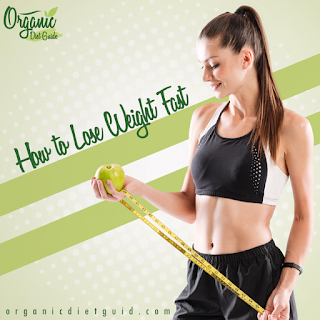 The Flat Belly Fix Review | Your Complete Guide The Flat Belly Fix Review | Your Complete Guide