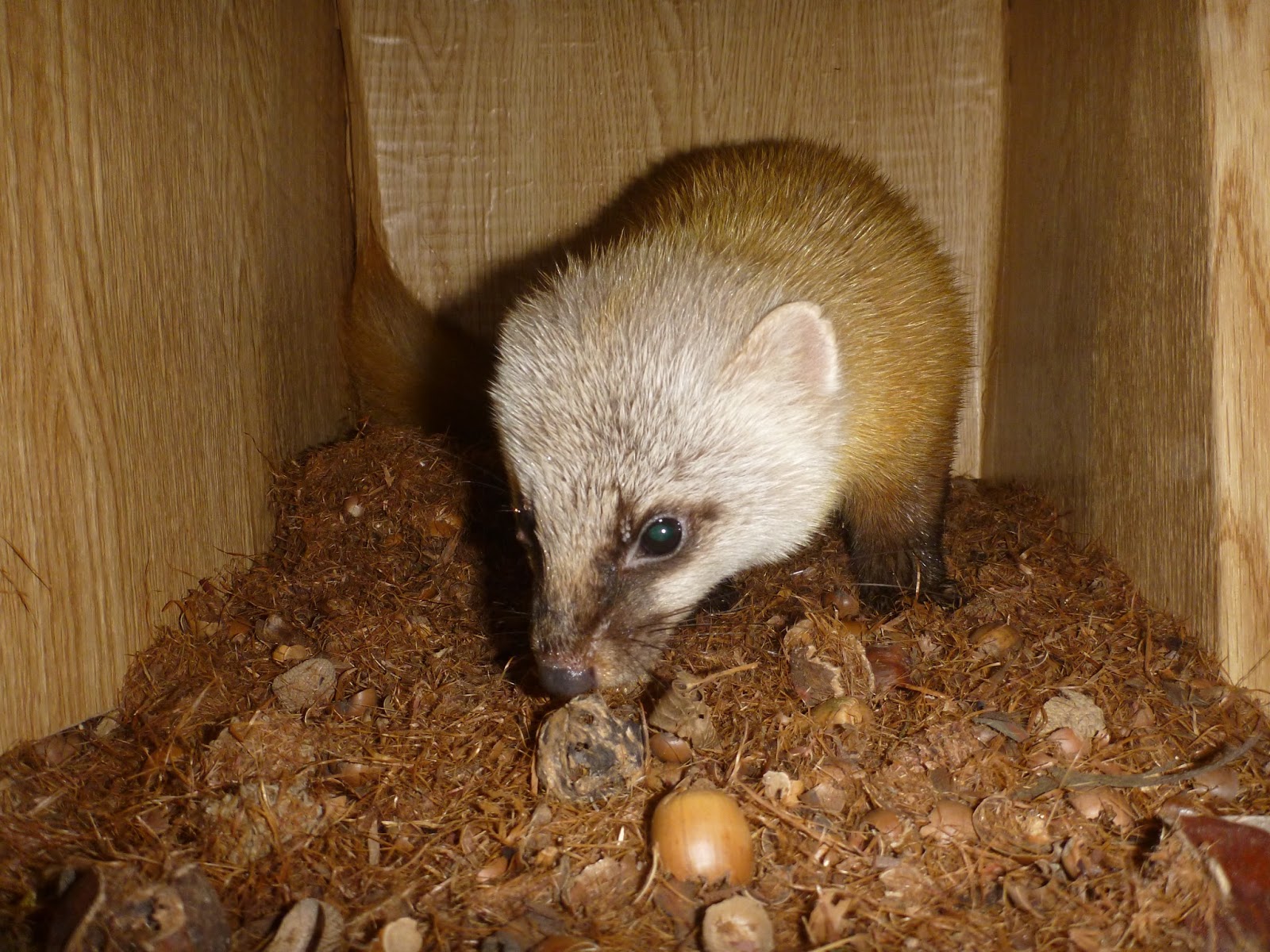 10年前に現れた爪の黒い斑点は癌の兆候だった