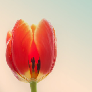 MÉDECINE- Le mal à dit – émotions et maladies