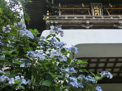 �]�̓��̂�������