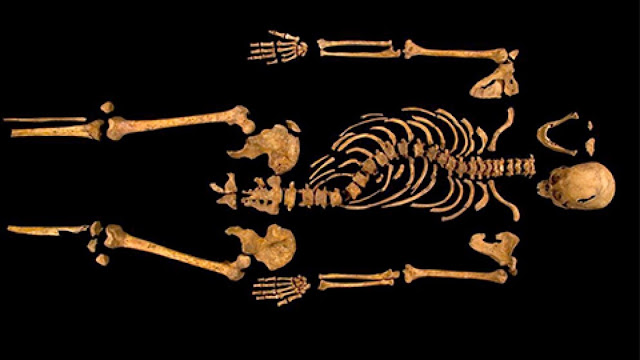 Скелет Ричарда III © University of Leicester / Getty Images