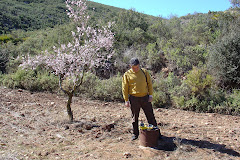 ESTUDIOS HIDROGEOLOGICOS