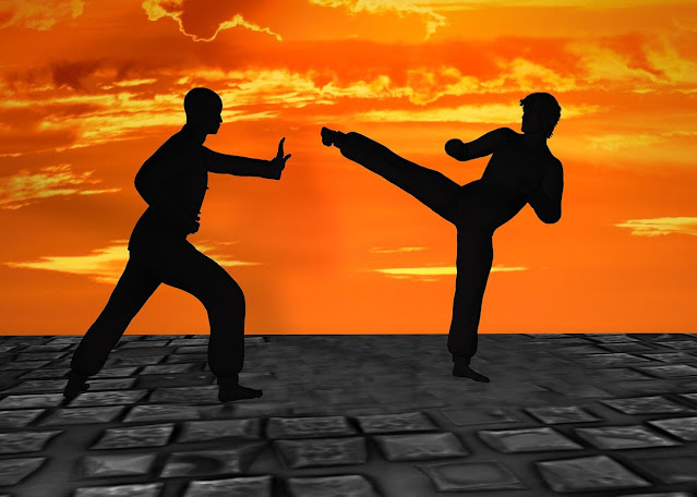 Shadow Fight 3: Improvements over SF2 Shadow Fight 3: Improvements over SF2